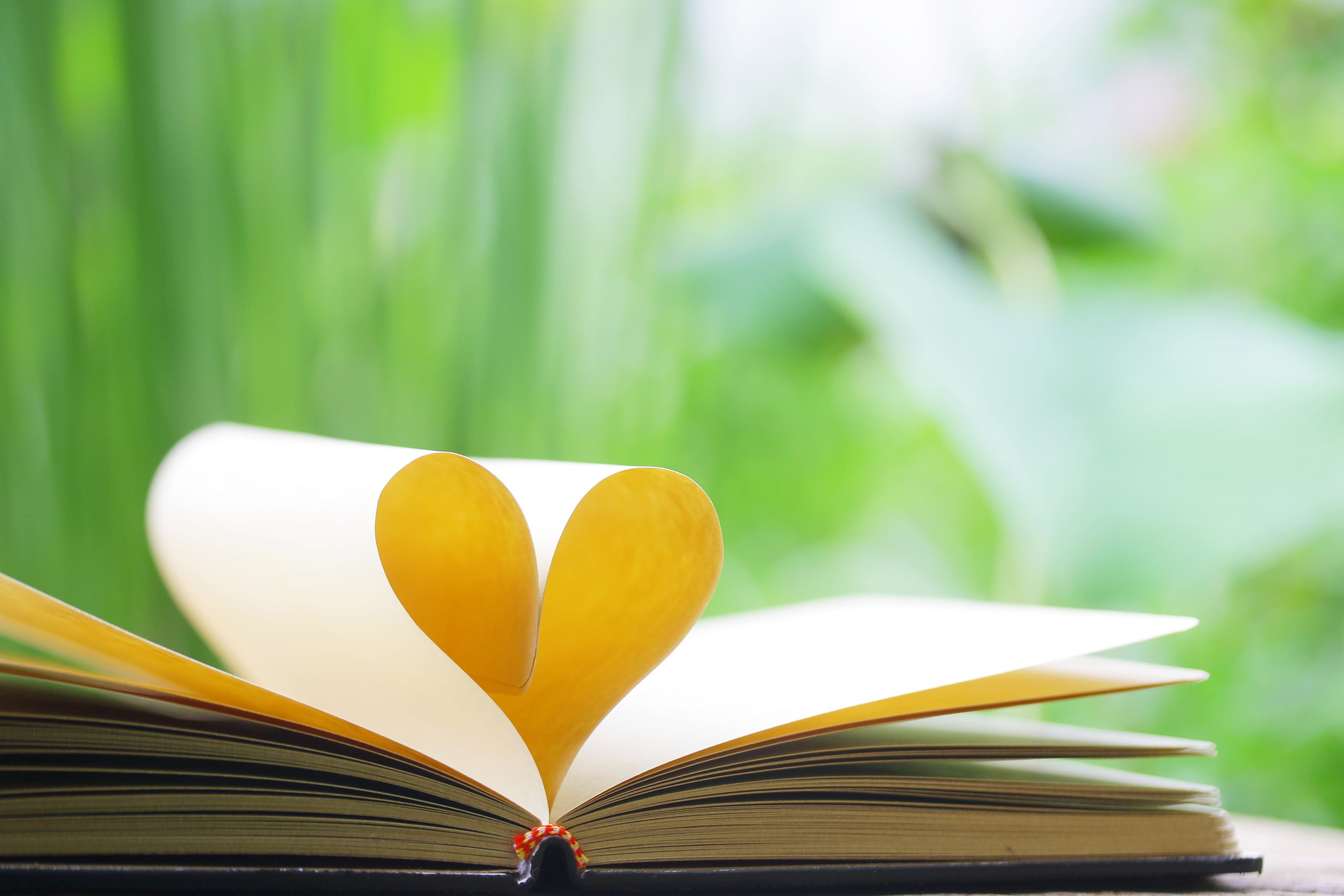 Warum ein personalisiertes Wimmelbuch ein nachhaltiges Geschenk ist